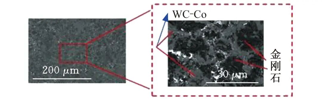 202509041659589544.jpg 202509041659589544.jpg